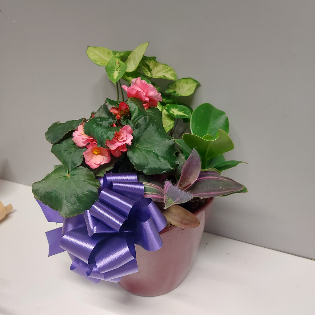 Ceramic planter