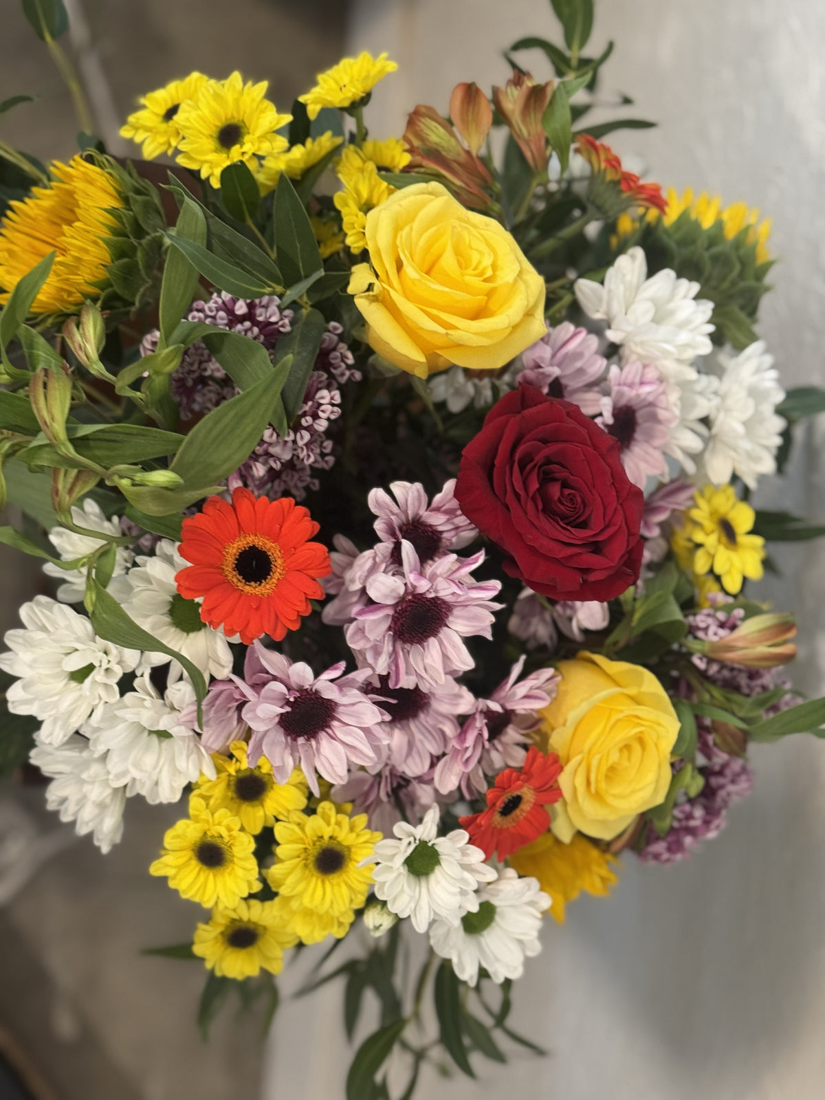 Celebration of Colour