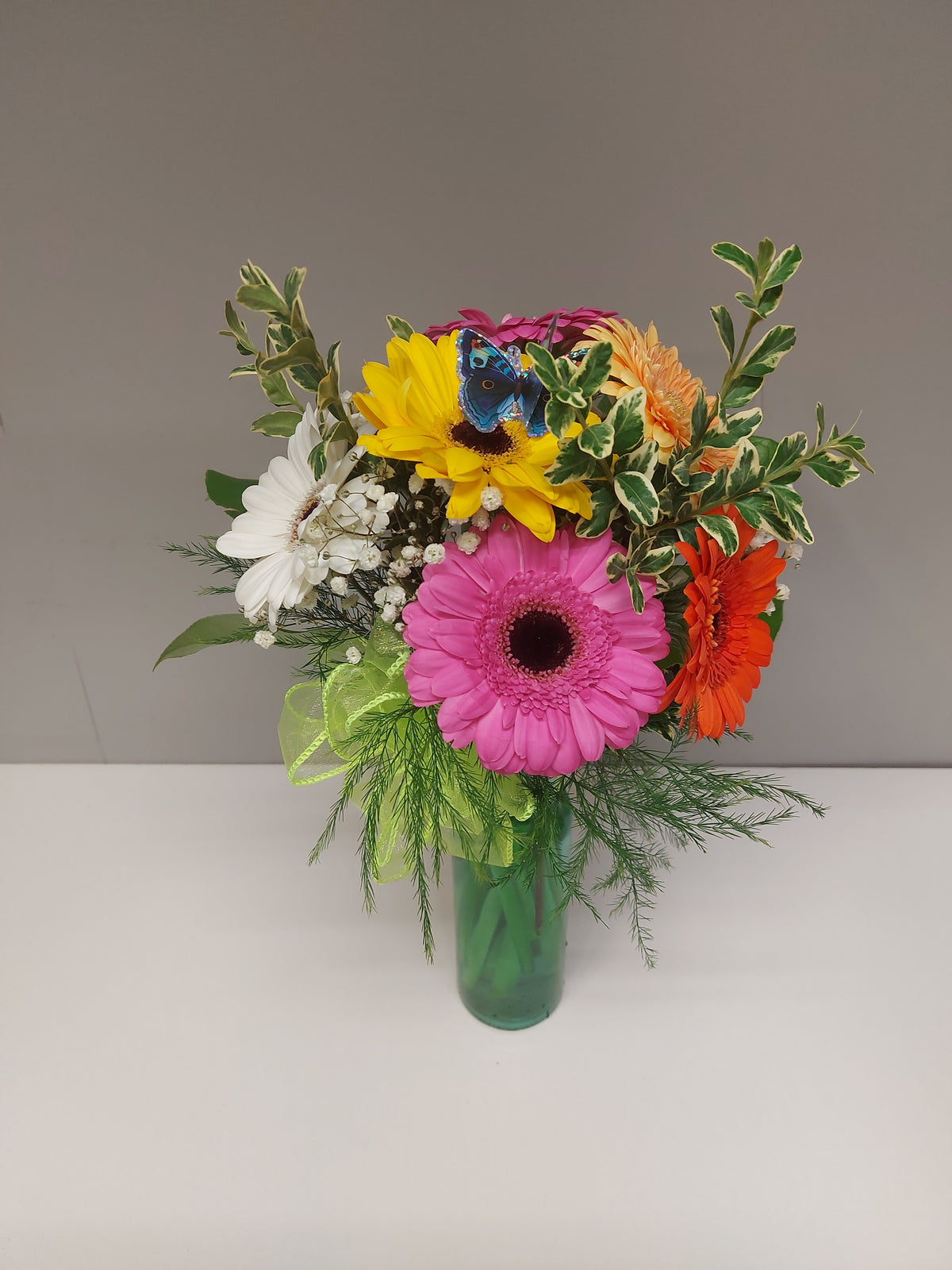 Gerbera Delight