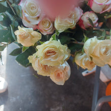 Load image into Gallery viewer, The different colours of love.
