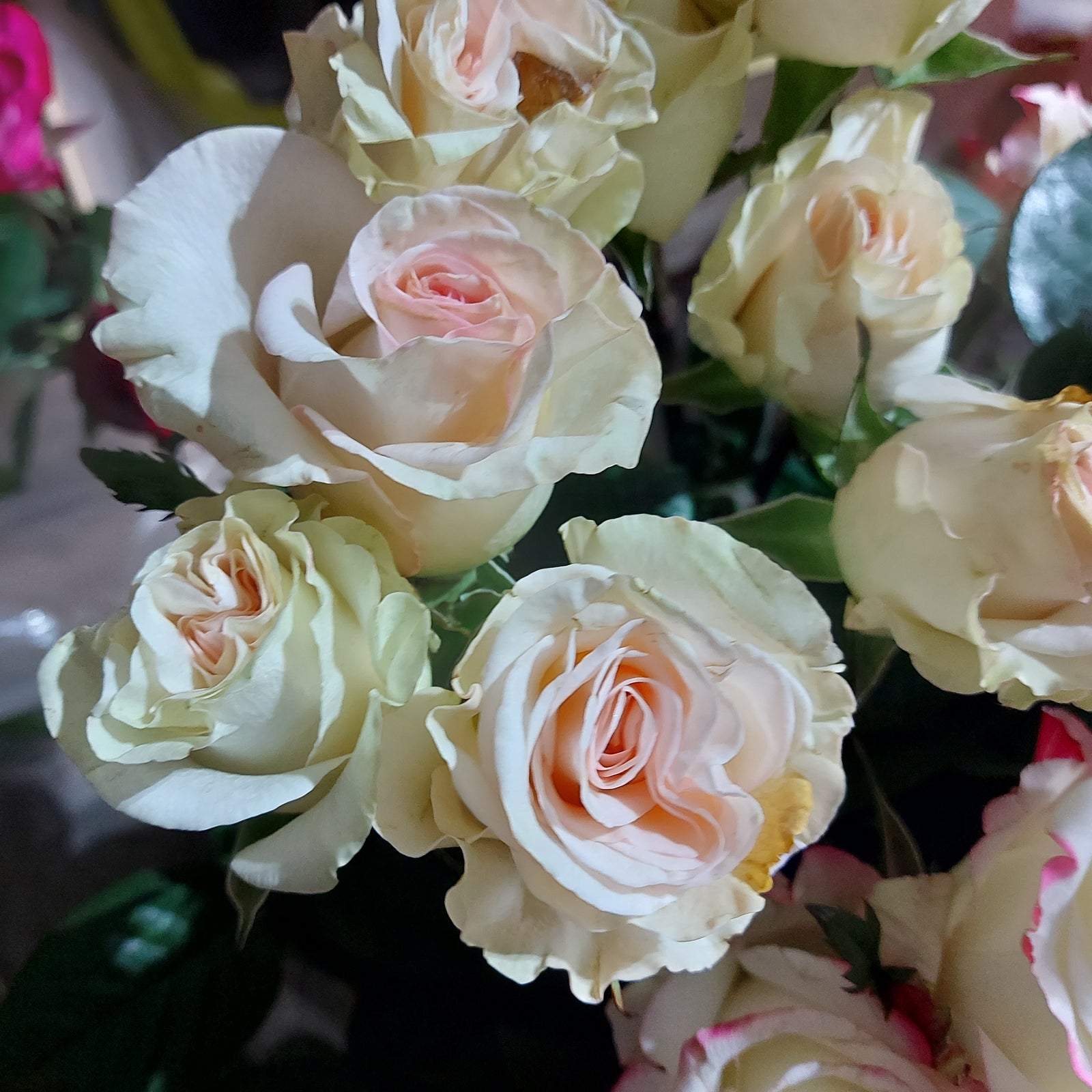 Colourful ever after.